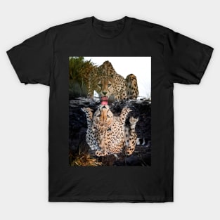 Tiger in the wild T-Shirt